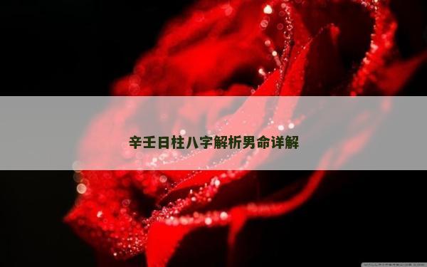 辛壬日柱八字解析男命详解