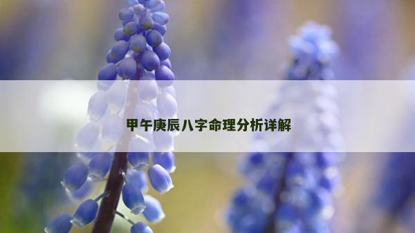 甲午庚辰八字命理分析详解