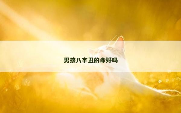 男孩八字丑的命好吗