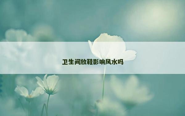 卫生间放鞋影响风水吗