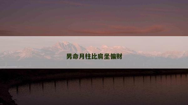 男命月柱比肩坐偏财