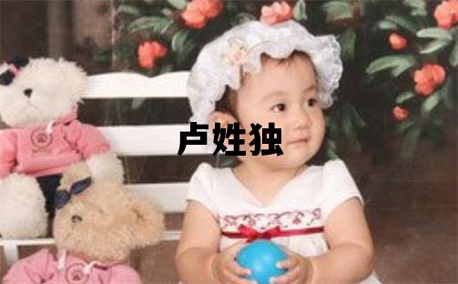 卢姓独特优美的男孩名字