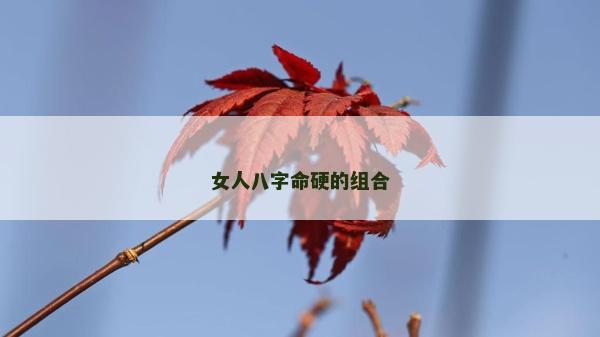 女人八字命硬的组合