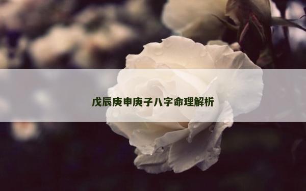 戊辰庚申庚子八字命理解析