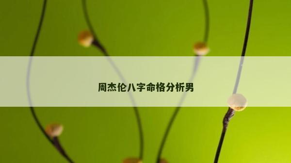 周杰伦八字命格分析男