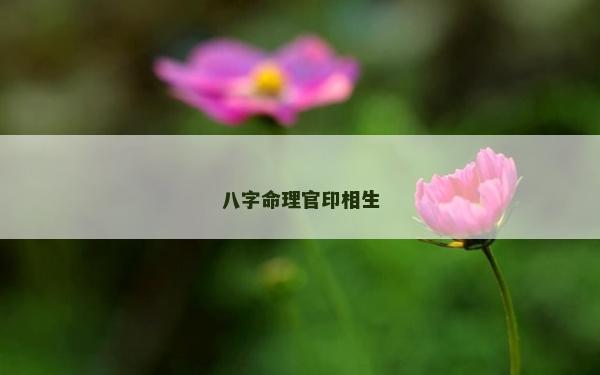 八字命理官印相生
