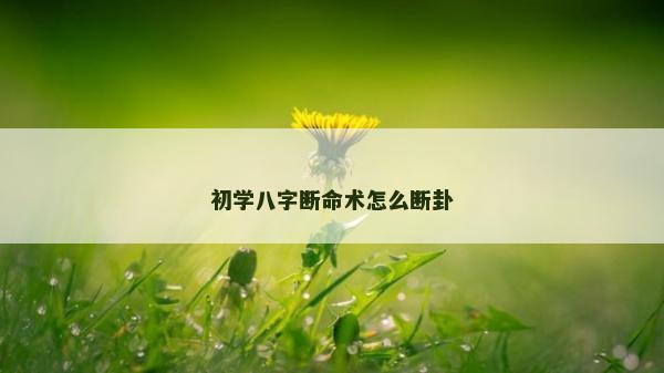 初学八字断命术怎么断卦