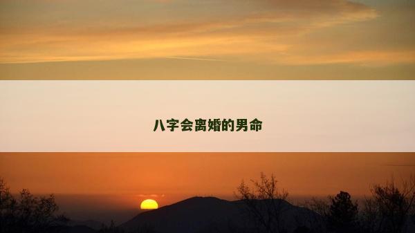 八字会离婚的男命