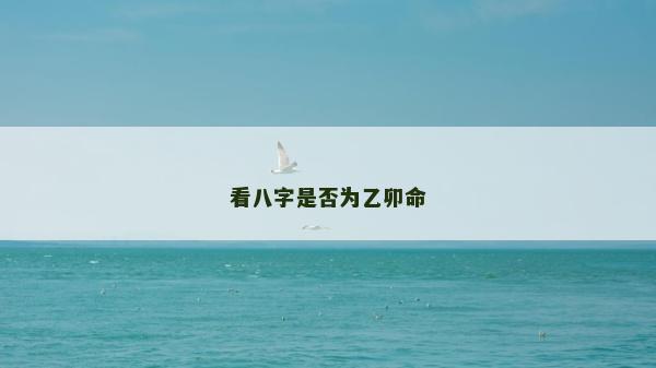 看八字是否为乙卯命