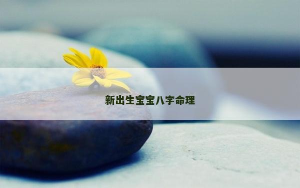 新出生宝宝八字命理