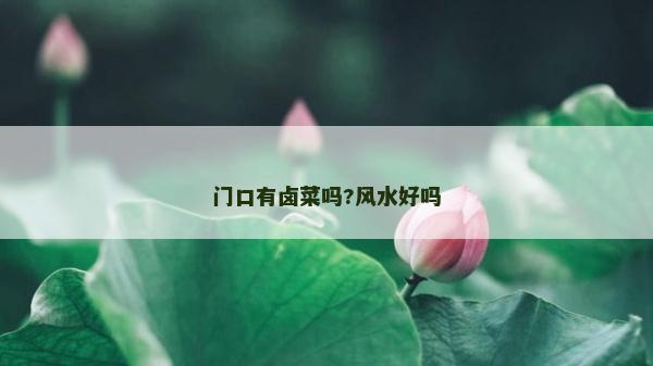 门口有卤菜吗?风水好吗