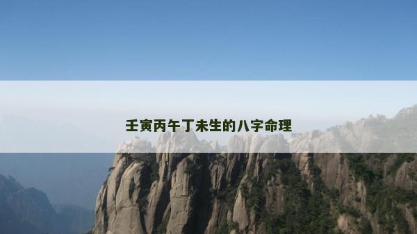 壬寅丙午丁未生的八字命理