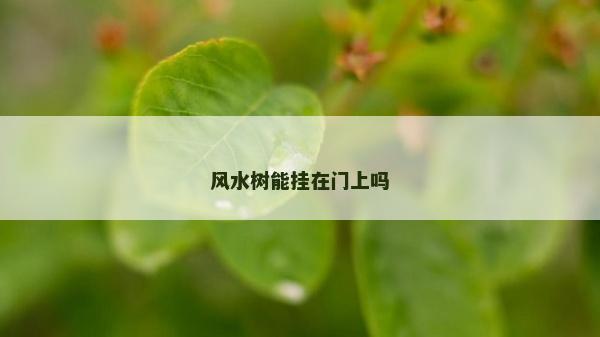 风水树能挂在门上吗