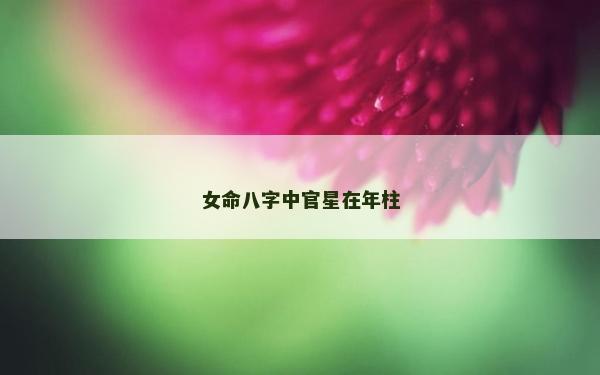 女命八字中官星在年柱