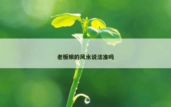 老板娘的风水说法准吗