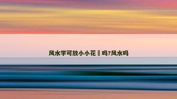 风水学可放小小花瓬吗?风水吗