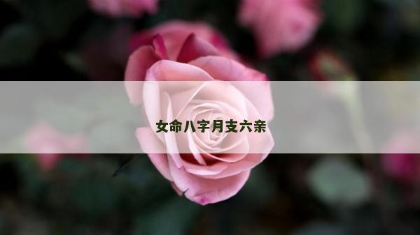 女命八字月支六亲