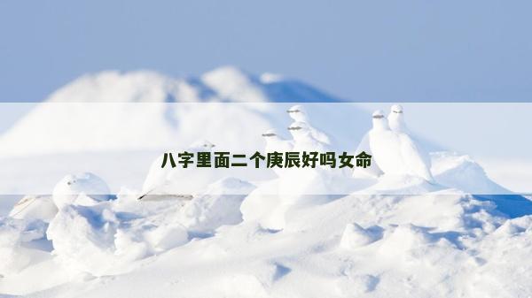 八字里面二个庚辰好吗女命