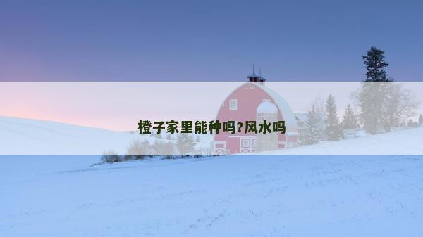 橙子家里能种吗?风水吗