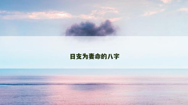 日支为妻命的八字