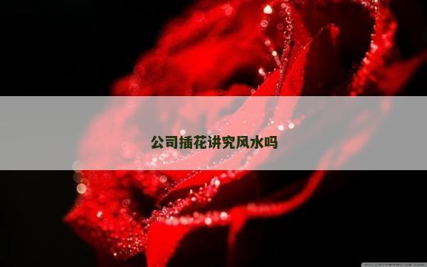 公司插花讲究风水吗