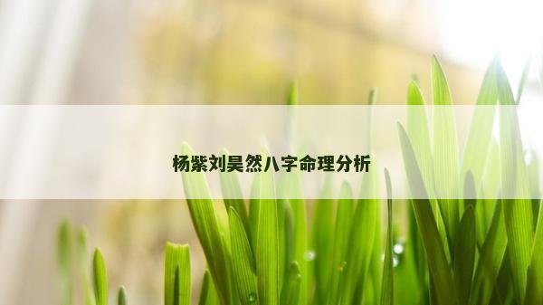 杨紫刘昊然八字命理分析