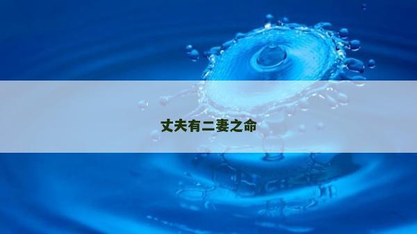 丈夫有二妻之命