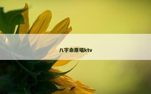 八字命原唱ktv