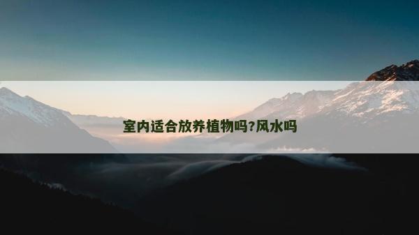 室内适合放养植物吗?风水吗
