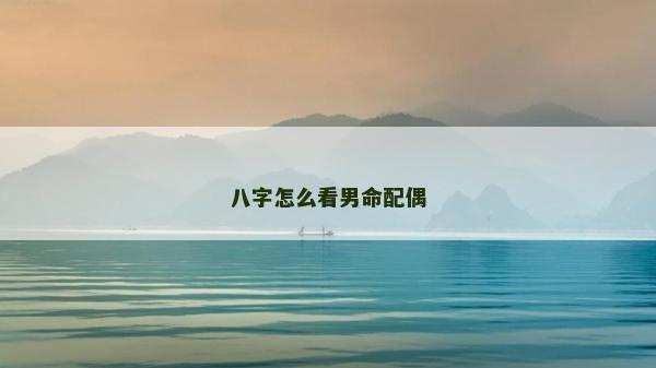 八字怎么看男命配偶