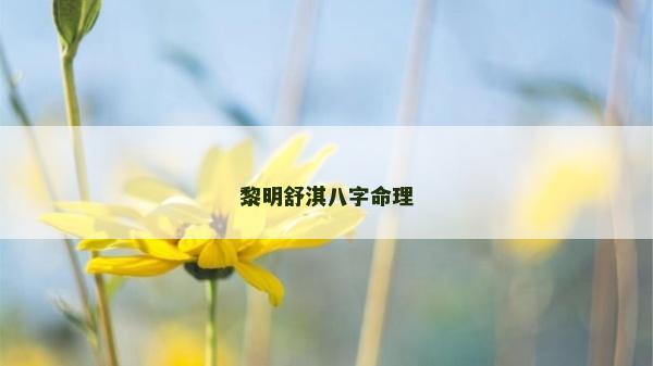 黎明舒淇八字命理
