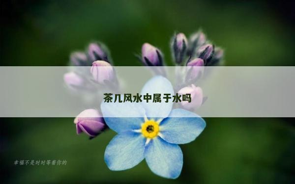 茶几风水中属于水吗