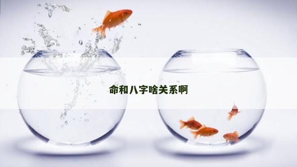 命和八字啥关系啊