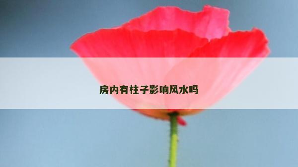 房内有柱子影响风水吗