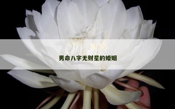 男命八字无财星的婚姻