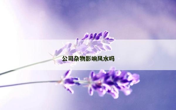 公司杂物影响风水吗