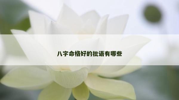 八字命格好的批语有哪些