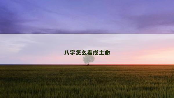 八字怎么看戊土命