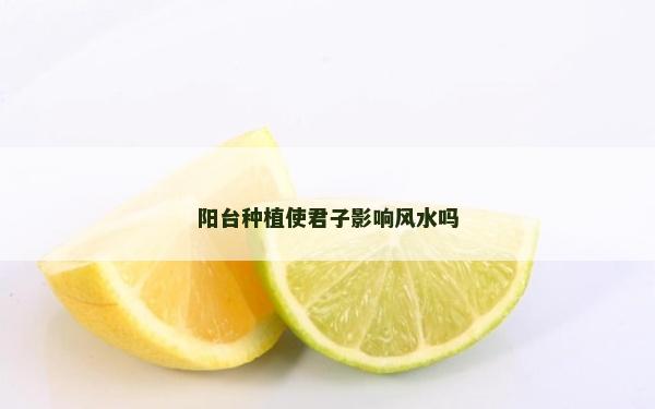 阳台种植使君子影响风水吗