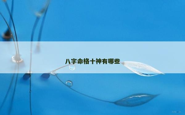 八字命格十神有哪些