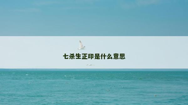 七杀生正印是什么意思