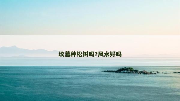 坟墓种松树吗?风水好吗