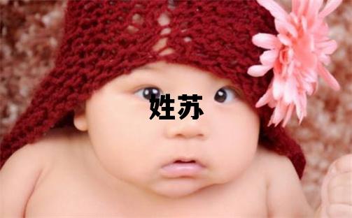 姓苏叫什么名字好 姓苏的男孩优美的名字