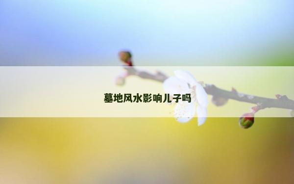 墓地风水影响儿子吗