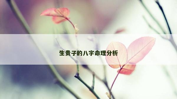 生贵子的八字命理分析