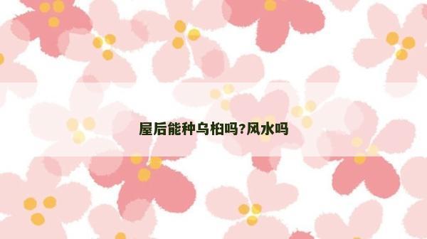 屋后能种乌桕吗?风水吗