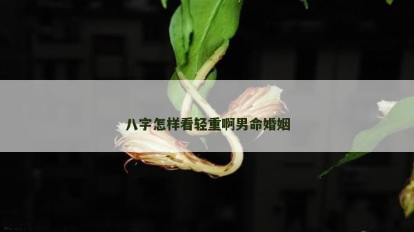 八字怎样看轻重啊男命婚姻