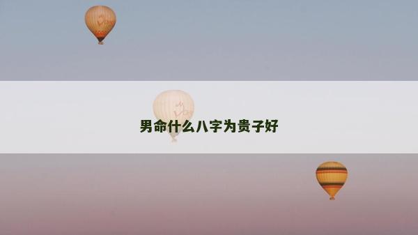 男命什么八字为贵子好