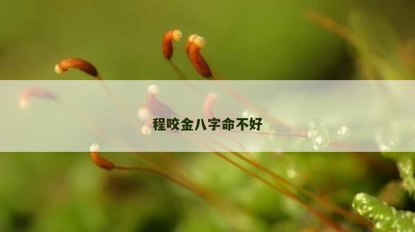 程咬金八字命不好