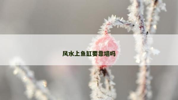 风水上鱼缸要靠墙吗